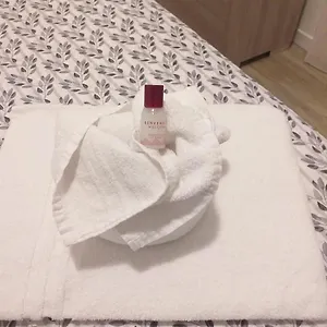 https://residenza-gasparoni-di-guidi-eleonora.hotelinveneto.com